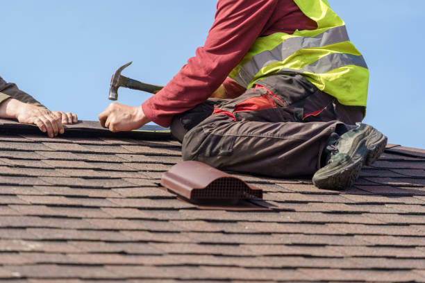 Best Roof Maintenance Services  in Macon, MS
