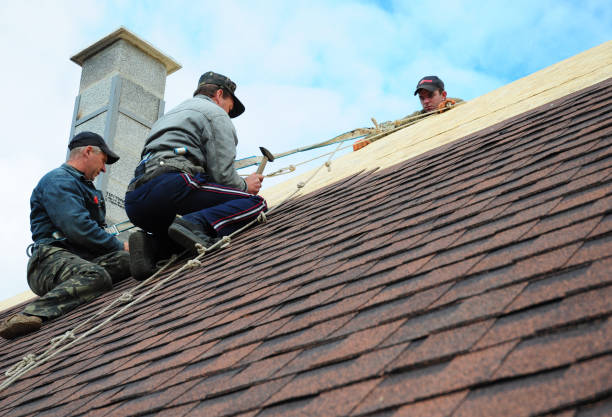 Best Residential Roofing Contractor  in Macon, MS